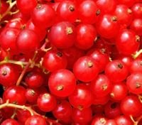 Cranberries