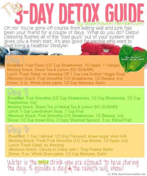 3 Day Smoothie Diet Recipes