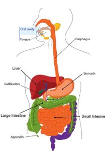 colon detox