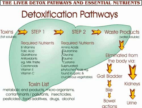 Detox The Liver Diet