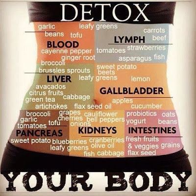 Body Cleansing: Is There a Correct Order to Cleanse the Organs? - The ...