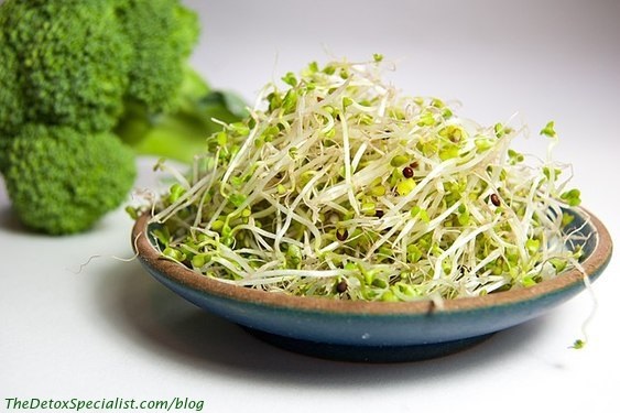 detox your body, broccoli sprouts