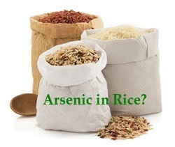 arsenic in rice