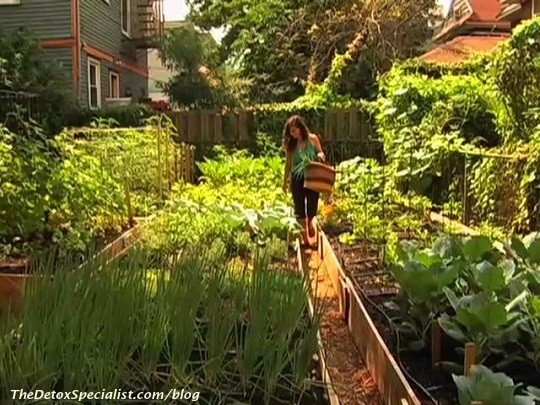 clone produce garden