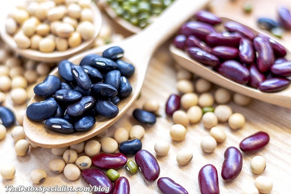 Karen Hurd Bean diet