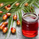 is palm oil bad for you