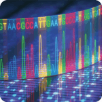 nutrigenomics